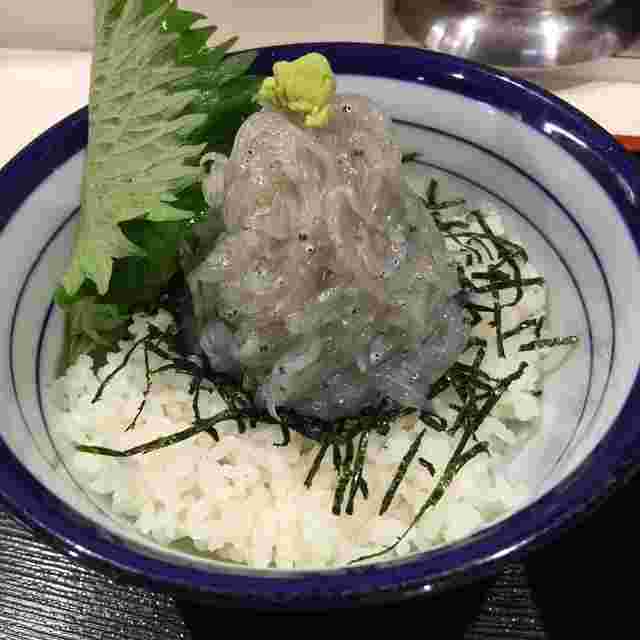 渡舟生しらす丼