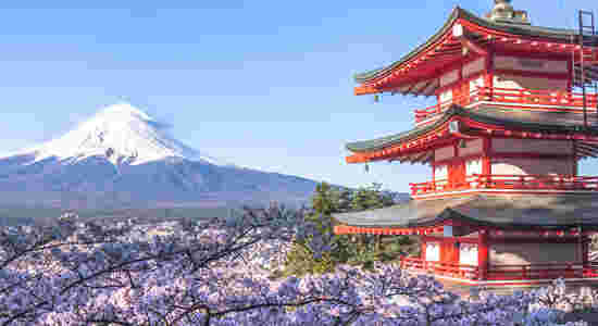 富士山と藤の花と五重塔