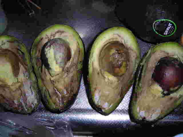 腐ったアボカド