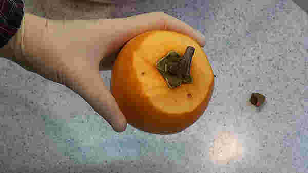 柿の皮むき