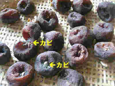 カビのついた干し柿