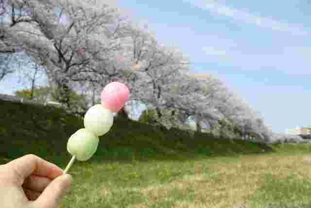 桜とお花見団子