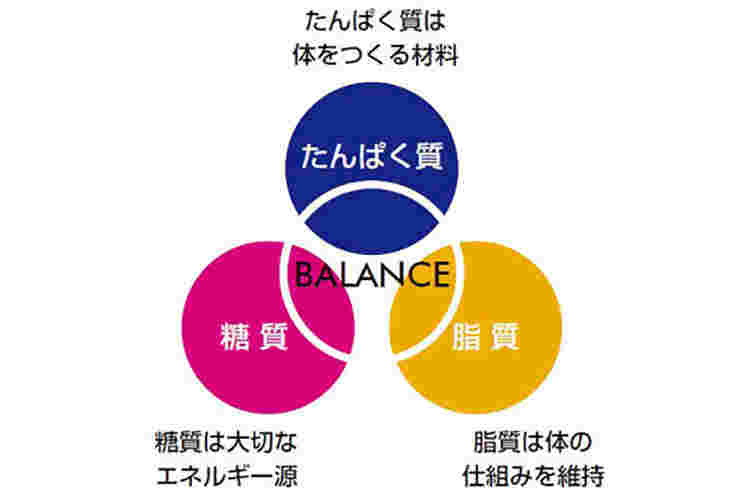 三大栄養素の表