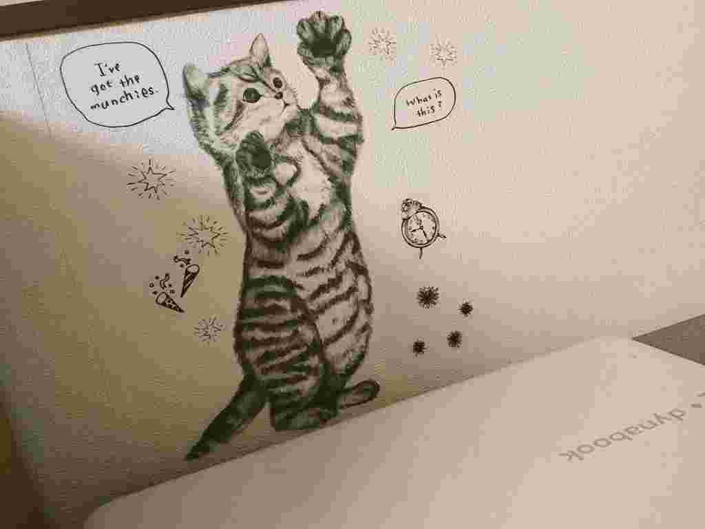 セリアの猫のウォールステッカー