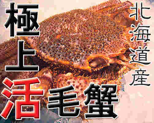 活きた毛蟹