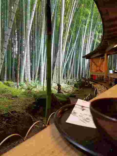 休耕庵竹の庭の茶席