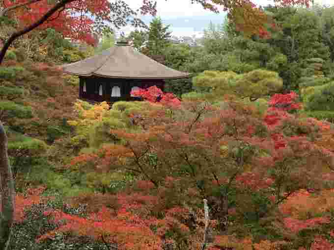 銀閣寺と紅葉の画像