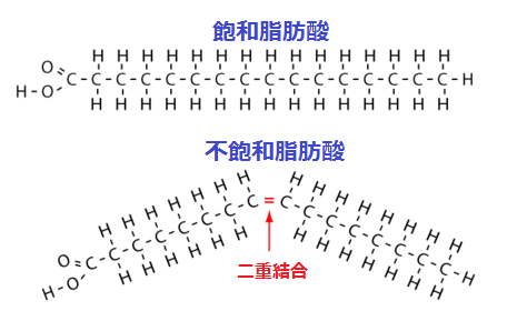 不飽和脂肪酸