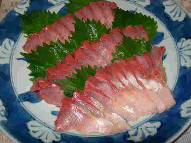 わらさの刺身
