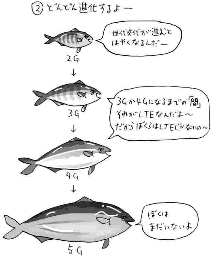 出世魚とはなにか？と書いたイラスト