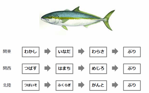 地方や場所によって呼び名が違うぶりの出世魚の一覧
