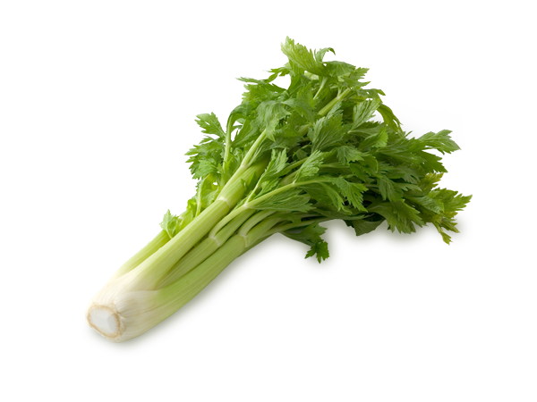 セロリ