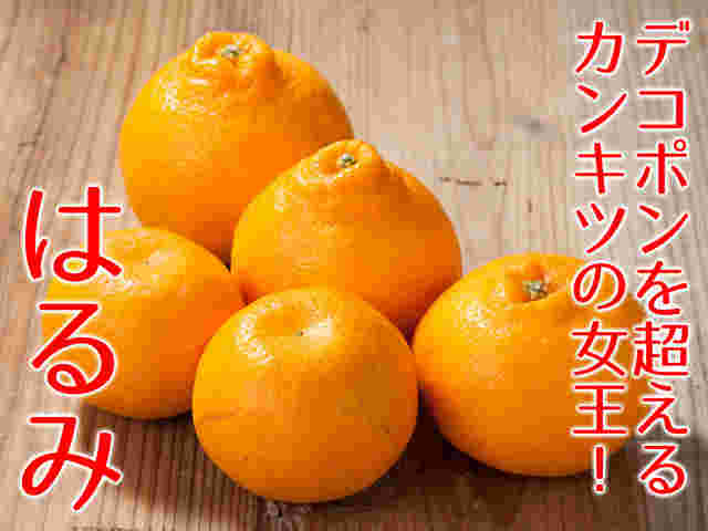 晴海の果物の画像