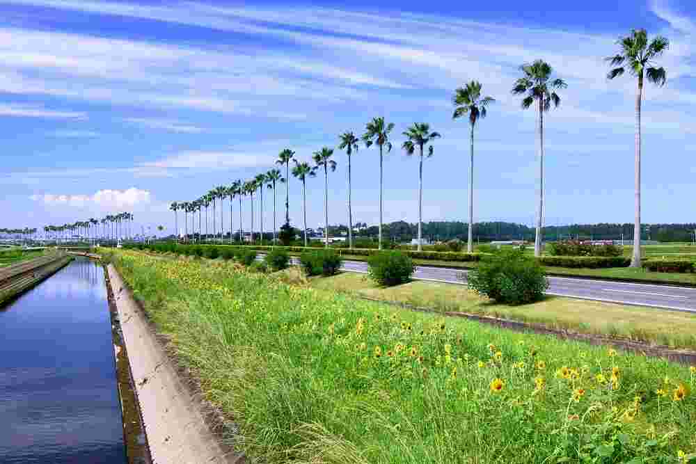 宮崎の風景