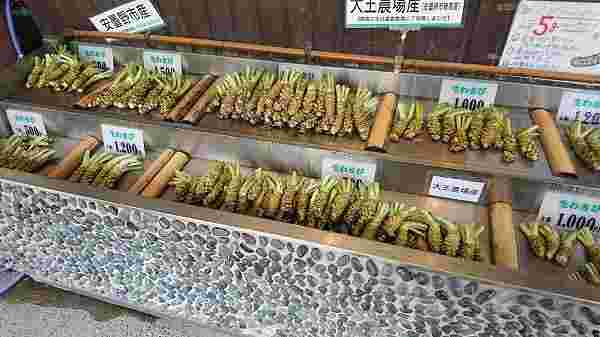 大王わさび農場「生わさび」