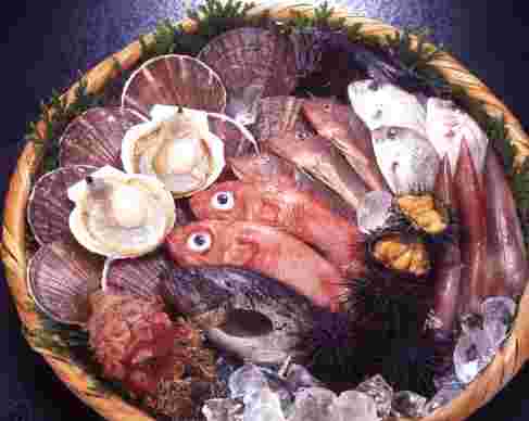 いろいろな魚介類