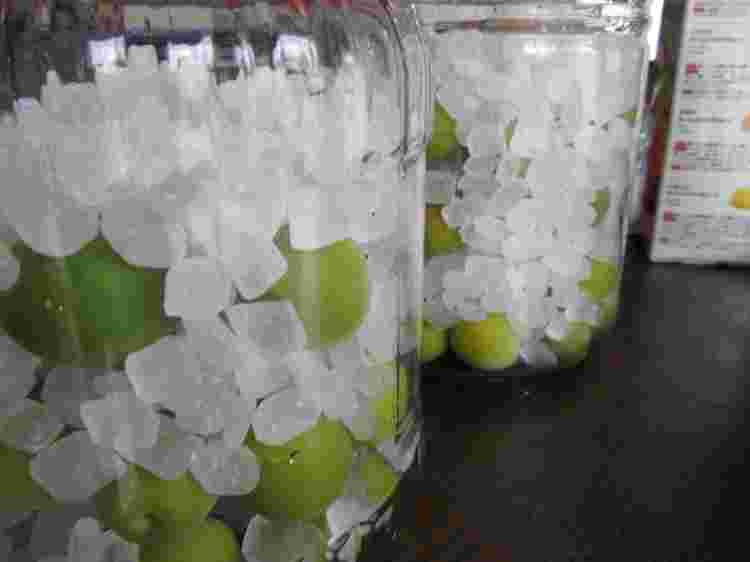 青梅の氷砂糖漬け