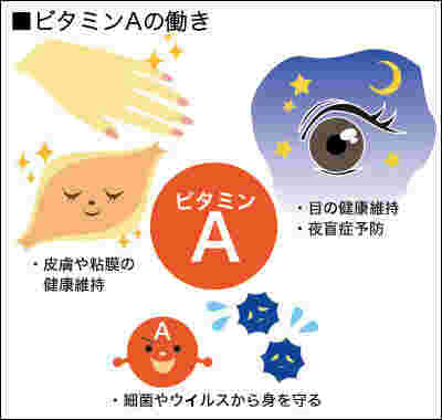 ビタミンAの効果