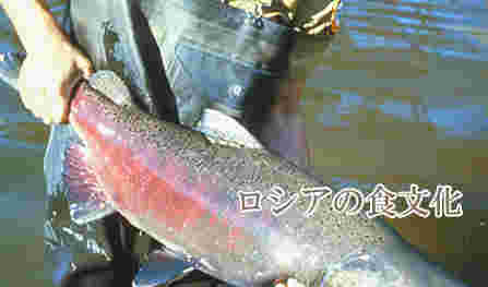 魚を持っている男性