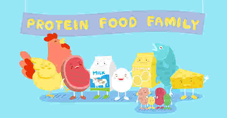 タンパク質を含む食品のイラスト