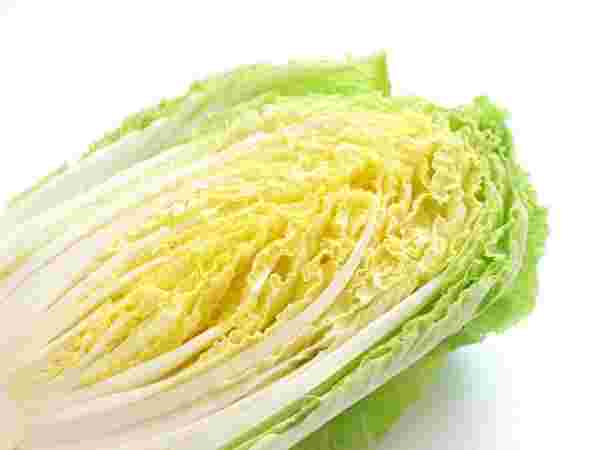 白菜