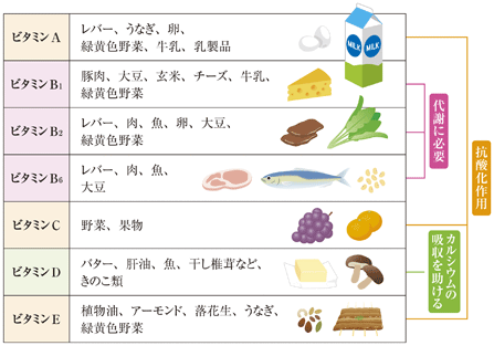 ビタミンを含む食材