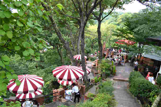 カフェテラス樹ガーデンのおしゃれな風景