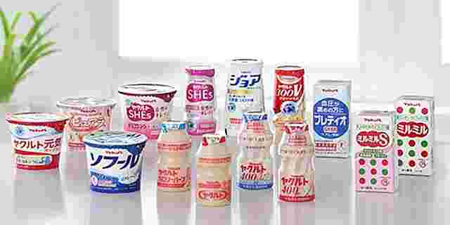 一堂に介したヤクルト製品