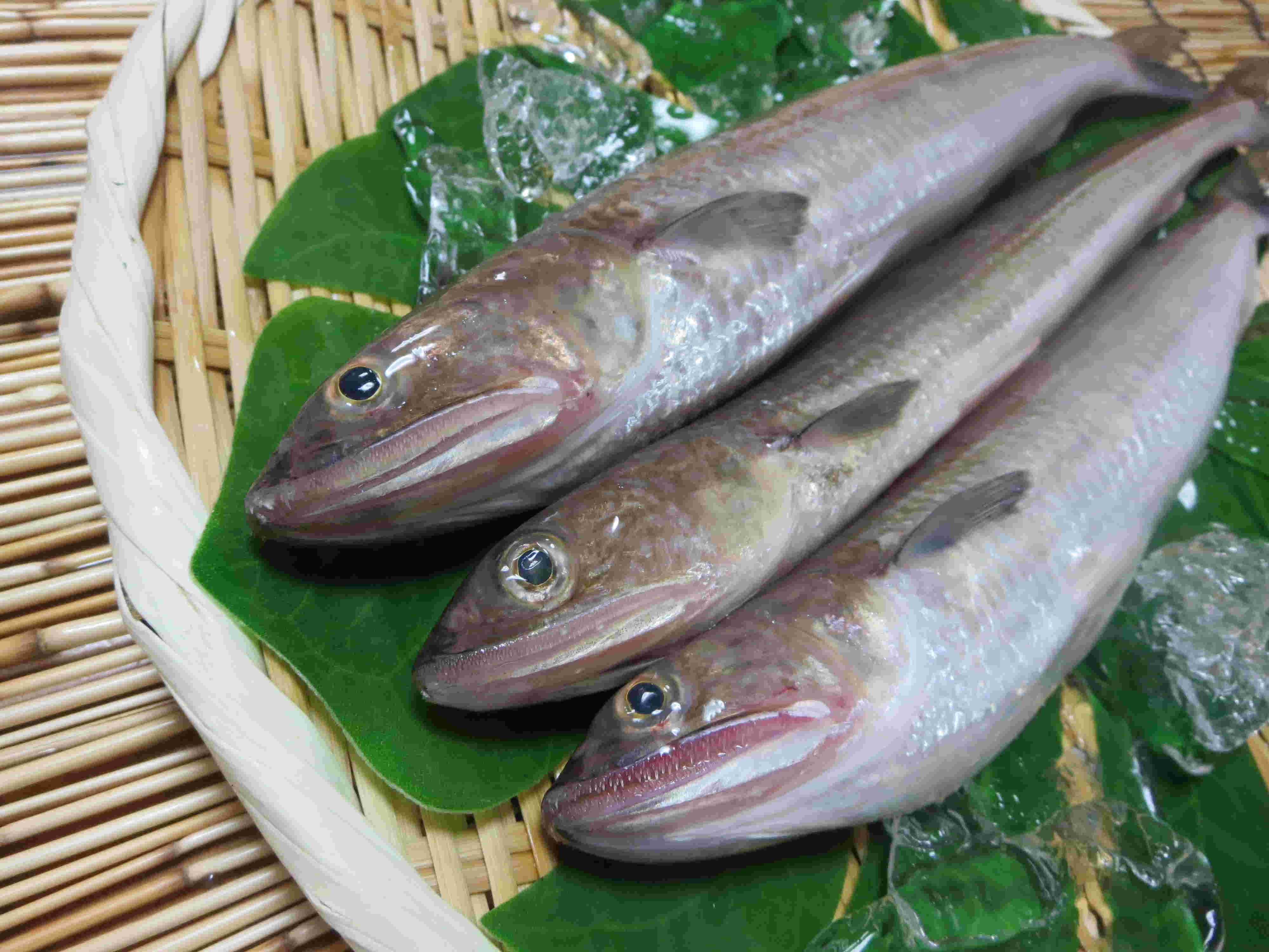 小さめの細長い魚が竹ザルの上に3匹並べられている