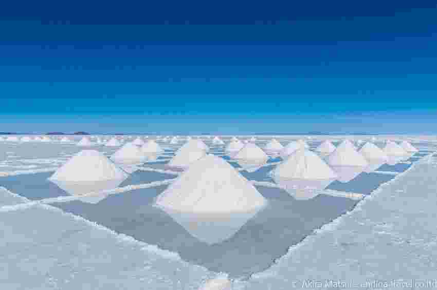 湖塩