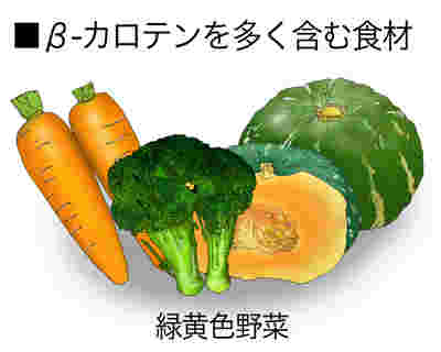 緑黄色野菜イラスト