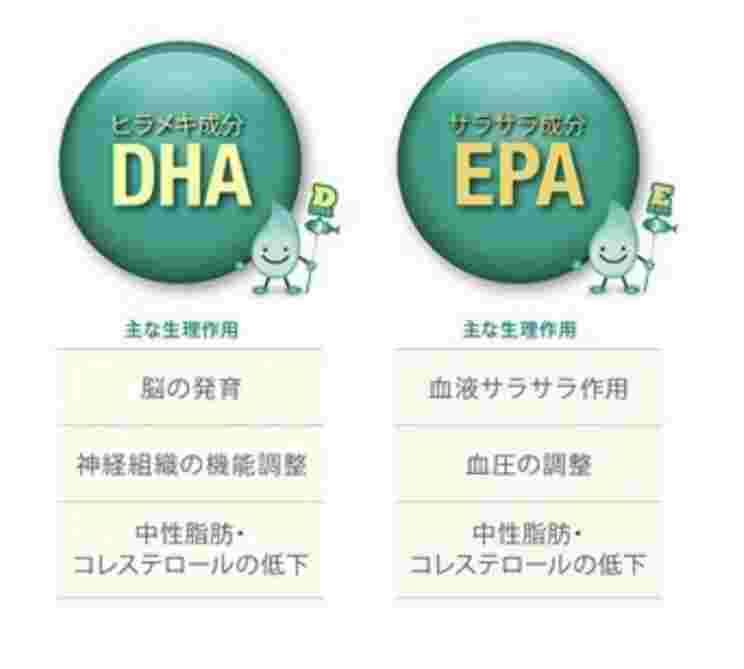 DHAとEPAの働きを箇条書きで紹介しているイラスト