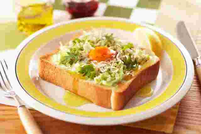 食パンと卵のイメージ
