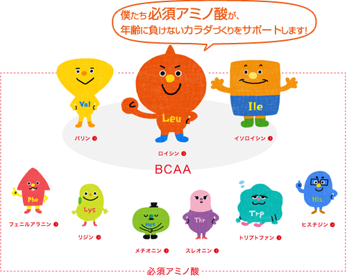 必須アミノ酸を示す図