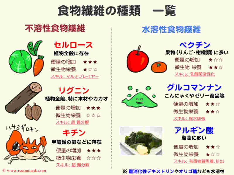 食物繊維の種類を示す図