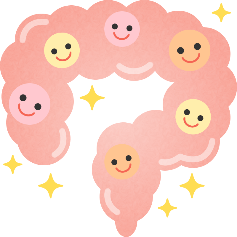 腸のイラスト
