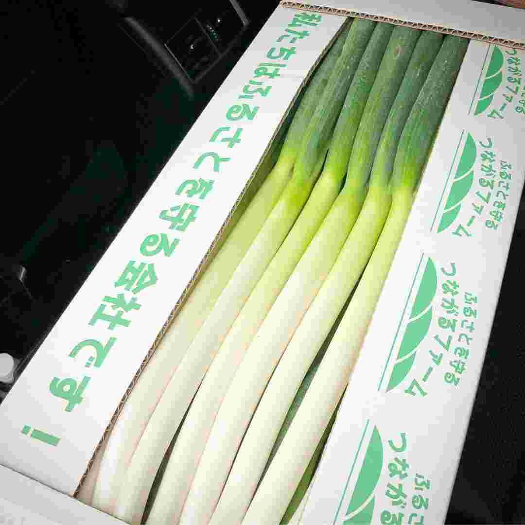 ケースに入れて出荷される長ネギ