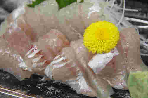 のどぐろの刺し身