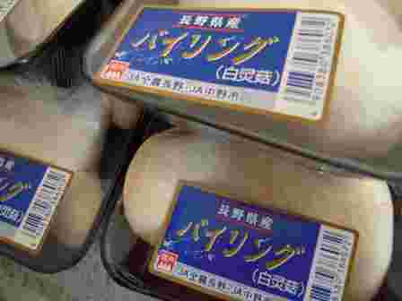 バイリングの画像