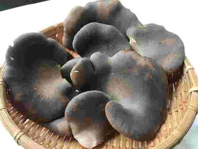 黒あわび茸の画像