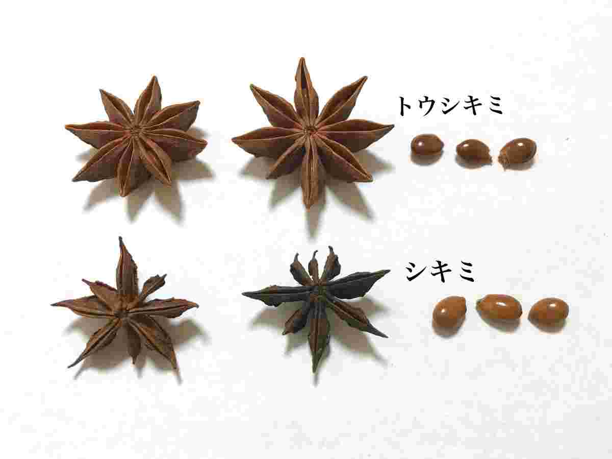 スターアニス(トウシキミ)とシキミ
