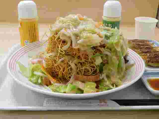 リンガーハットの野菜たっぷり皿うどん