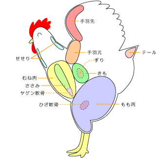 鶏肉の部位の説明画像