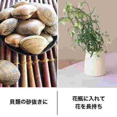 貝と花瓶にアレンジされた花
