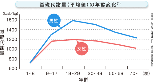 基礎代謝のグラフ