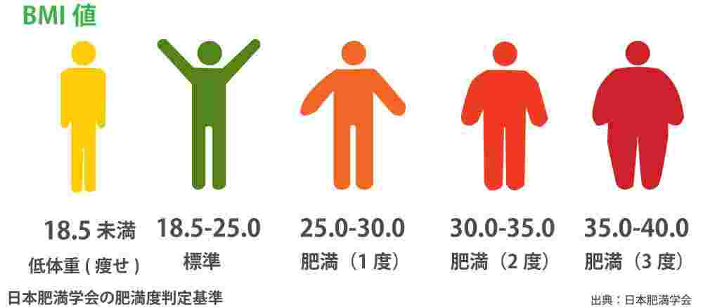 肥満学会の肥満度判定基準
