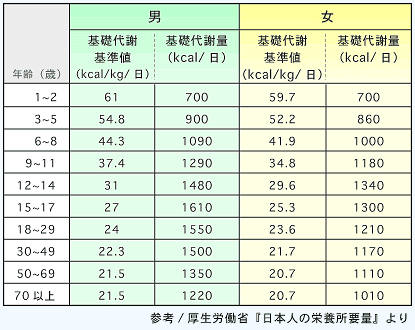 基礎代謝量の表