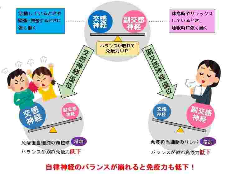 自律神経の役割