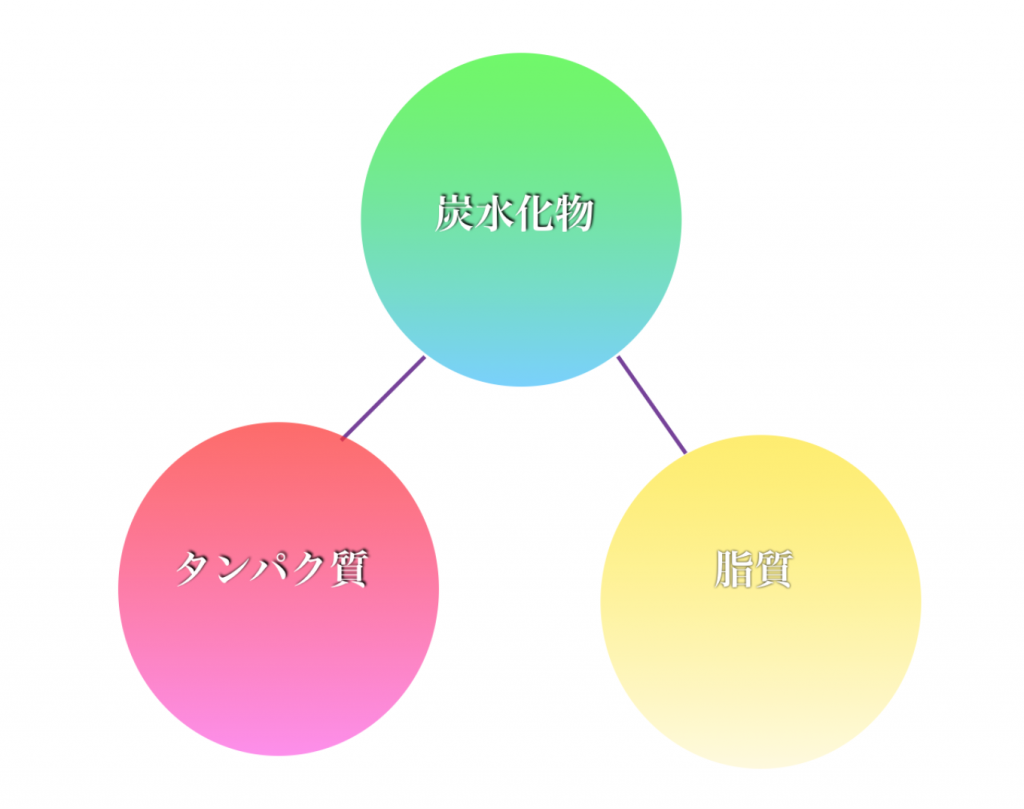 三大栄養素の図