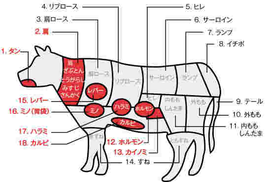 ハラミの部位を表したイラスト